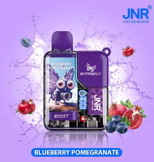 JNR Butterfly 8500 Puff – Elegant Vape Power