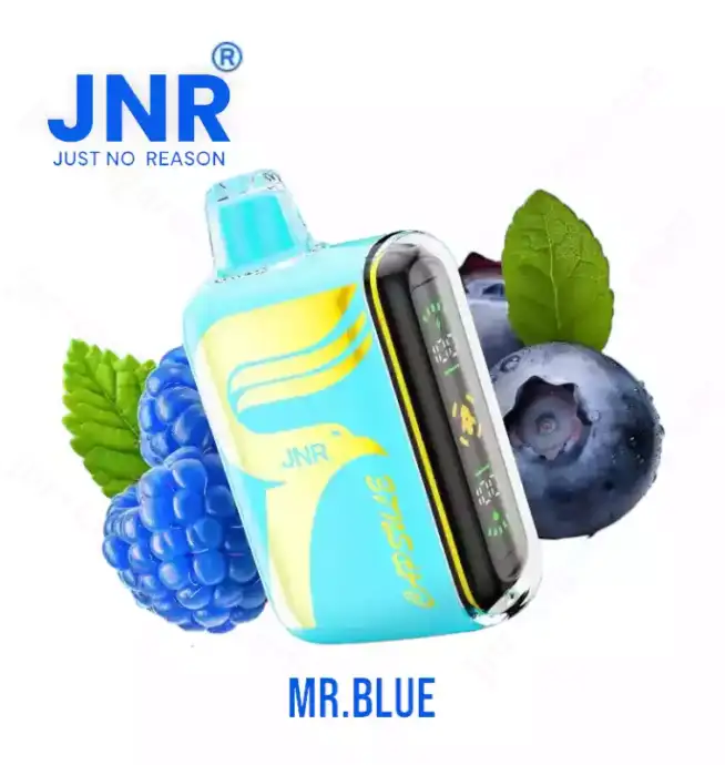 JNR Capsule 15000 Puff – Smart, Smooth Vape