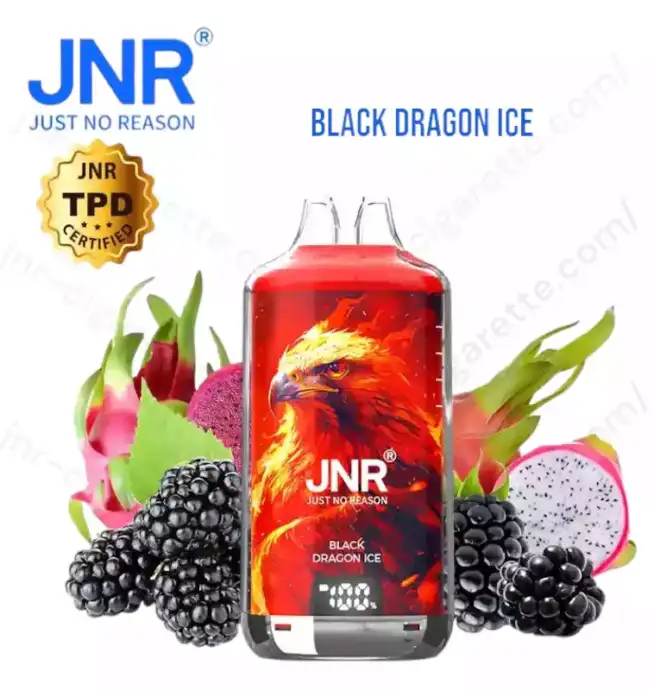 JNR Falcon X Plus 28K Puff – Smart vape
