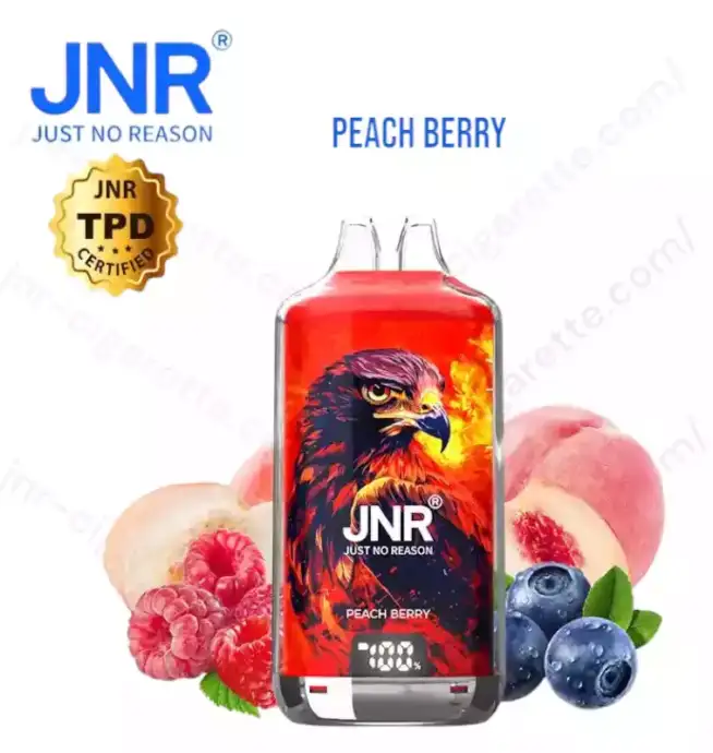 JNR Falcon X Plus 28K Puff – Smart vape
