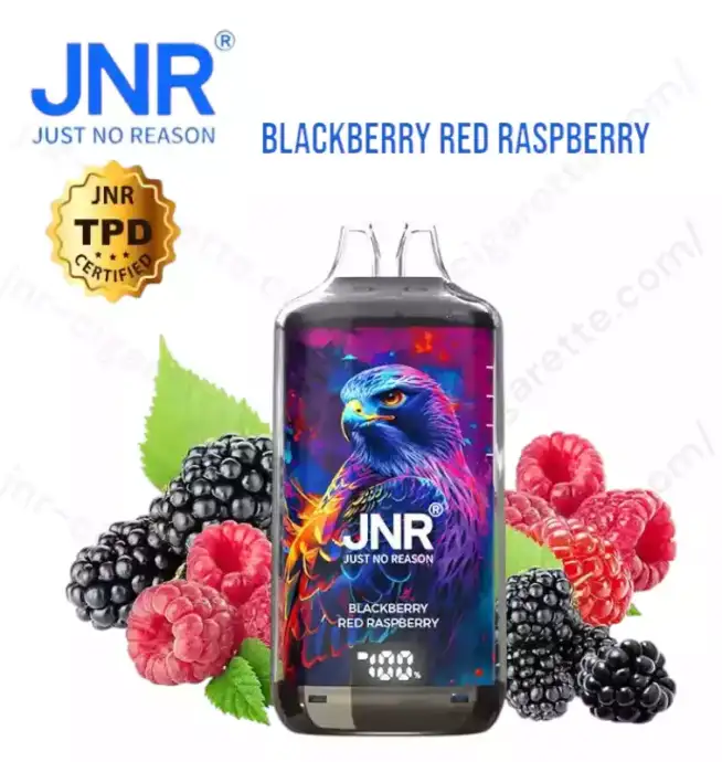 JNR Falcon X Plus 28K Puff – Smart vape