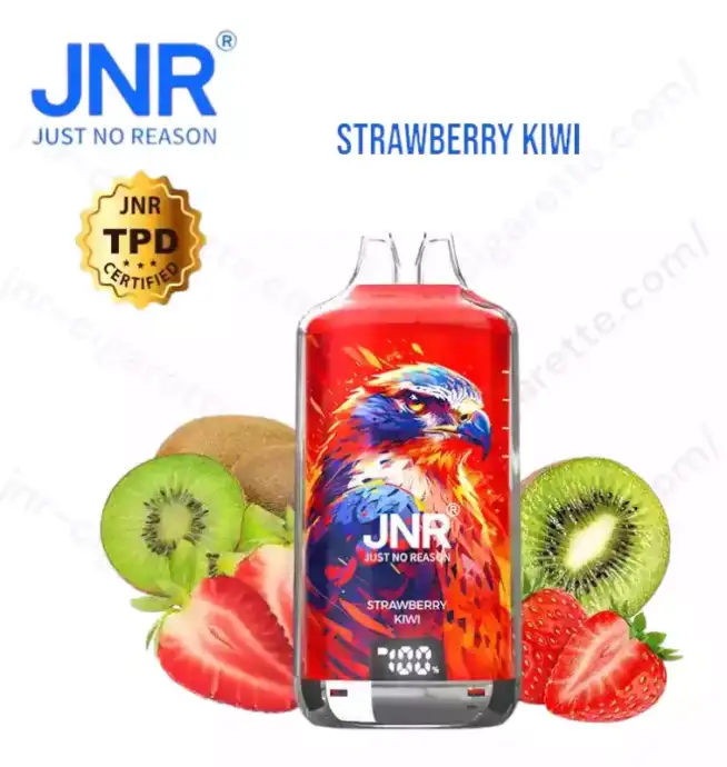 JNR Falcon X Plus 28K Puff – Smart vape