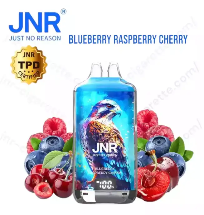 JNR Falcon X Plus 28K Puff – Smart vape
