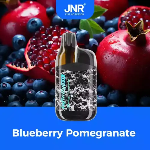JNR Infinity-Box 10700 Puff – Long-Lasting Vape