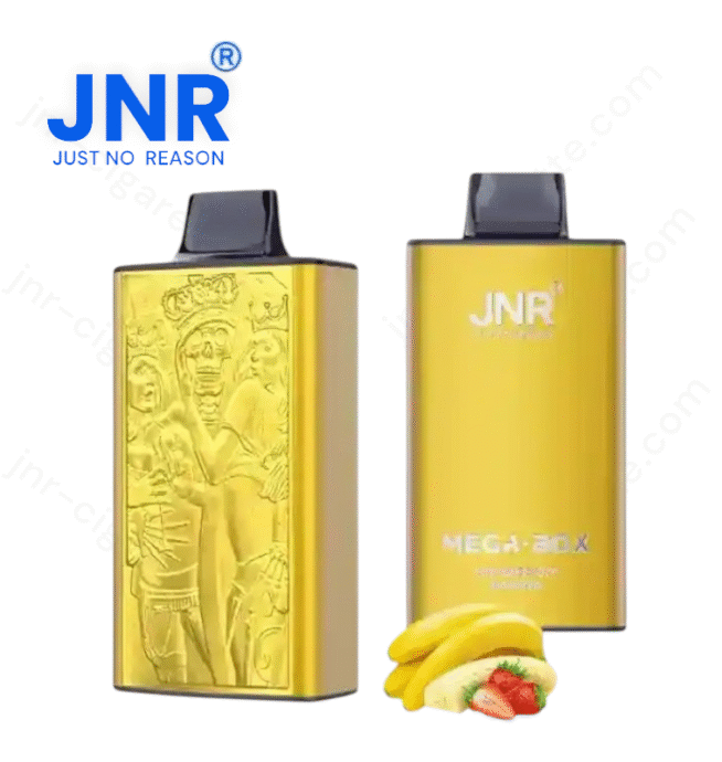 JNR Mega Box 25000 puffs – Puff JNR Vape