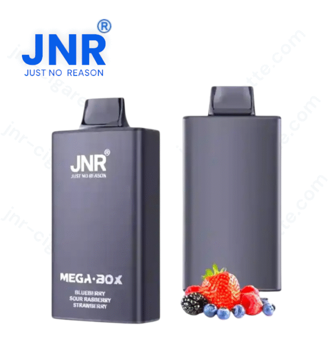 JNR Mega Box 25000 puffs – Puff JNR Vape