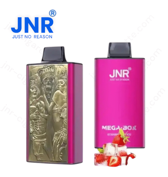 JNR Mega Box 25000 puffs – Puff JNR Vape