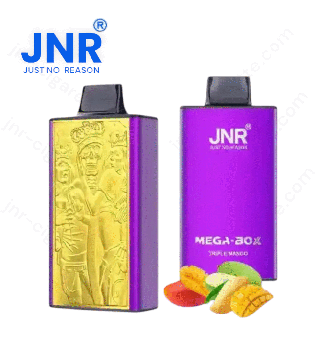 JNR Mega Box 25000 puffs – Puff JNR Vape