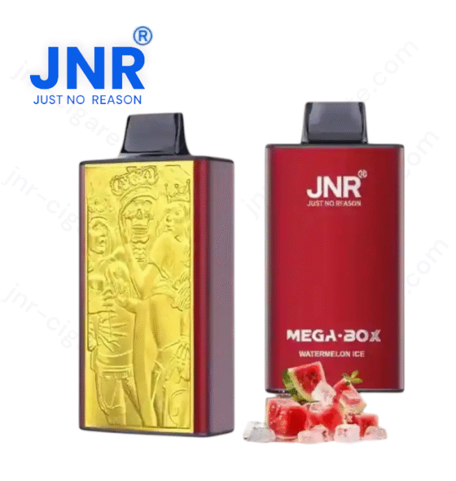 JNR Mega Box 25000 puffs – Puff JNR Vape