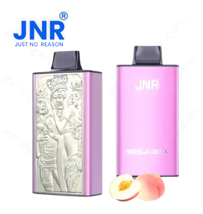 JNR Mega Box 25000 puffs – Puff JNR Vape