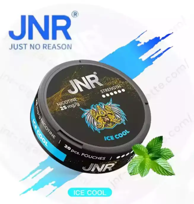 JNR Nicotine Pouches 25mg