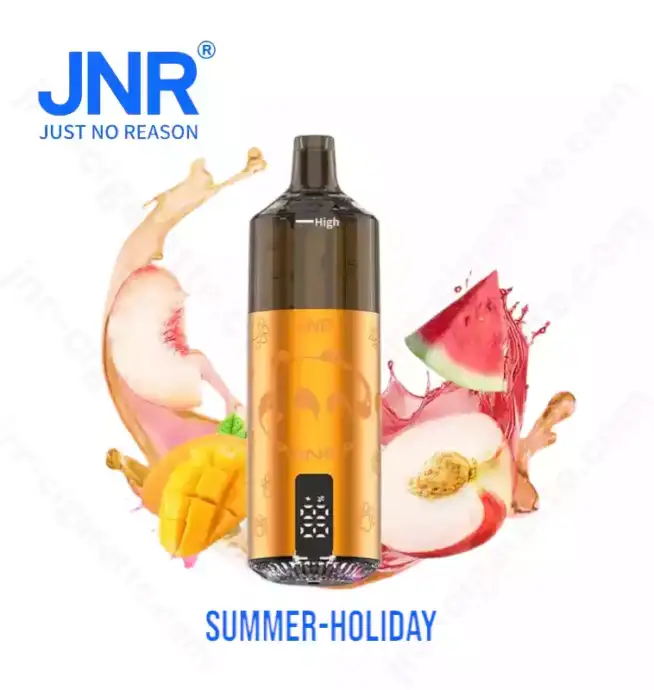 JNR Panda 25500 PUFF – The King of Long-Lasting Vapes