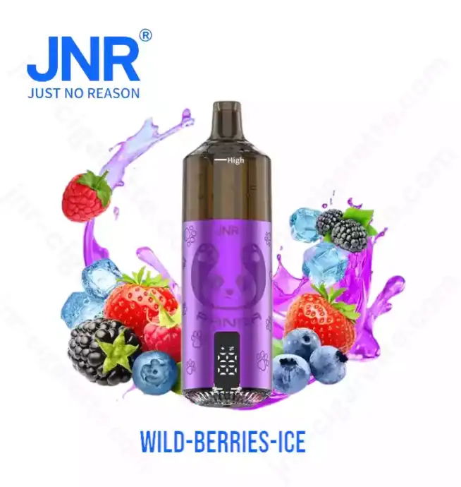 JNR Panda 25500 PUFF – The King of Long-Lasting Vapes