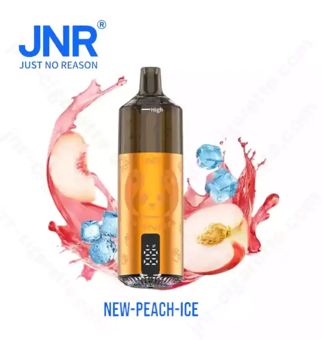 JNR Panda 25500 PUFF – The King of Long-Lasting Vapes