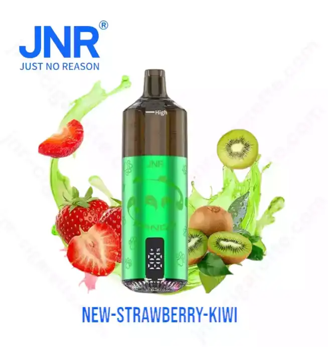 JNR Panda 25500 PUFF – The King of Long-Lasting Vapes