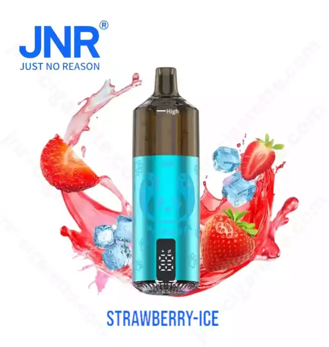 JNR Panda 25500 PUFF – The King of Long-Lasting Vapes