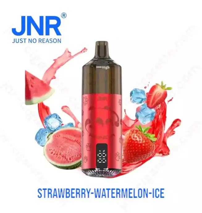 JNR Panda 25500 PUFF – The King of Long-Lasting Vapes