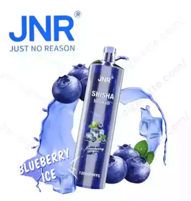 JNR Shisha 12K Puffs – Rechargeable Vape
