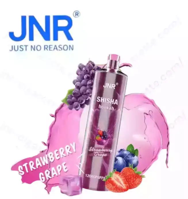 JNR Shisha 12K Puffs – Rechargeable Vape