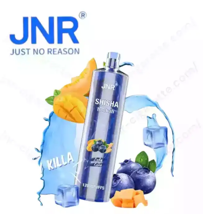 JNR Shisha 12K Puffs – Rechargeable Vape