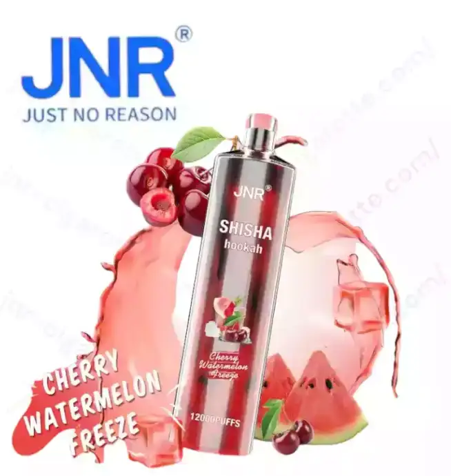 JNR Shisha 12K Puffs – Rechargeable Vape