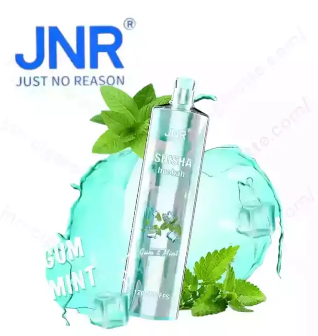 JNR Shisha 12K Puffs – Rechargeable Vape