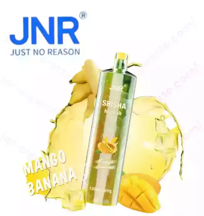 JNR Shisha 12K Puffs – Rechargeable Vape