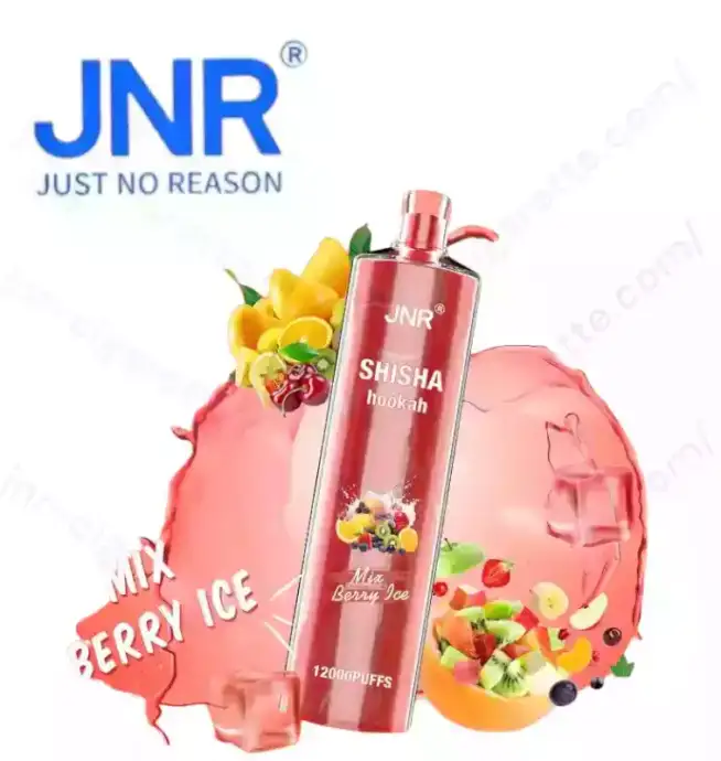 JNR Shisha 12K Puffs – Rechargeable Vape