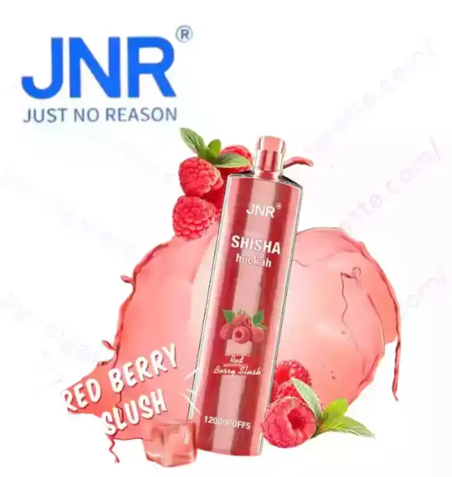 JNR Shisha 12K Puffs – Rechargeable Vape