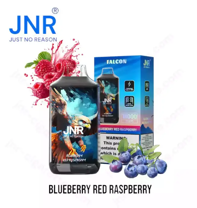 JNR Falcon 16000 Puffs – Myrtille Framboise Rouge Vape