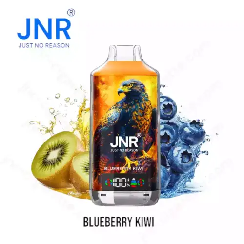 JNR Falcon-X 18000 Puffs 18K Blueberry Kiwi