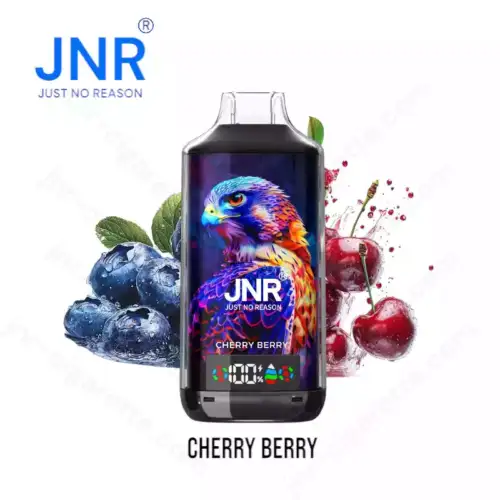 JNR Falcon-X 18000 Puffs 18K Cerise et Baies