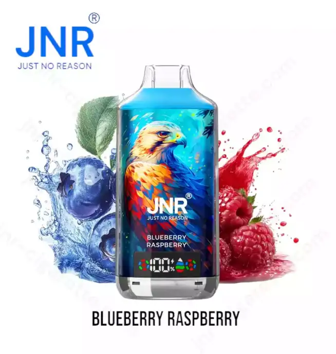 JNR Falcon-X 18000 Puffs 18k Blueberry Raspberry