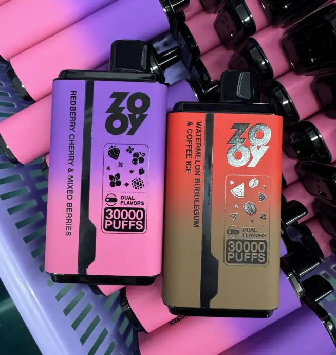 ZOOY Twins 30000 Einweg E-Zigarette mit Dual-Flavor