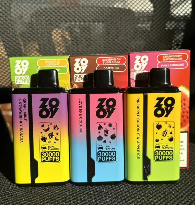 ZOOY Twins 30000 Einweg E-Zigarette mit Dual-Flavor